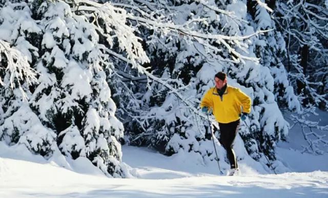 冬季冬天跑步运动训练风景