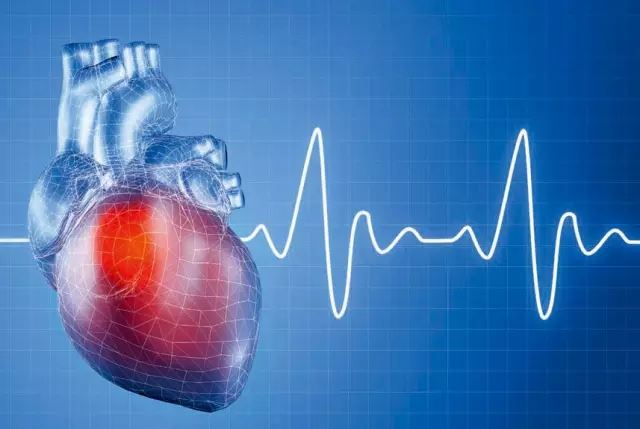 跑步训练心率范围科学运动心脏健康