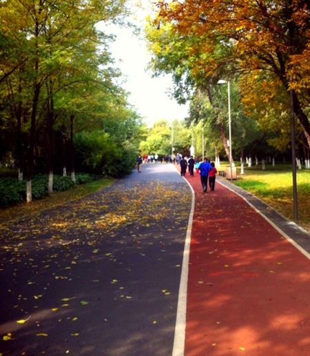 北京跑步圣地跑步路线奥林匹克森林公园