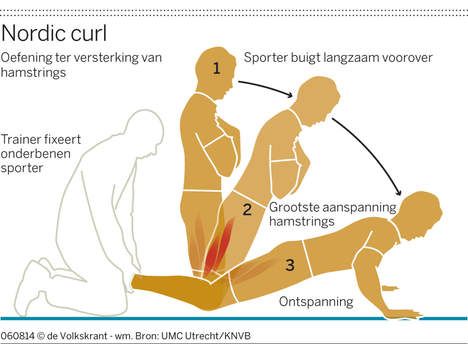 Nordic hamstring curls - 体育运动疗法训练动作