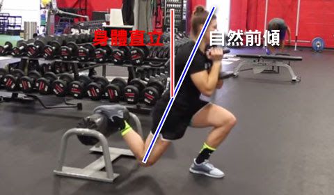 Rear-Foot-Elevated Split Squat|RFESS|Bulgarian Split Squat|BSS|Bulgarian Lunge|后脚抬高蹲|保加利亚分腿蹲 - 肌力与体能训练动作