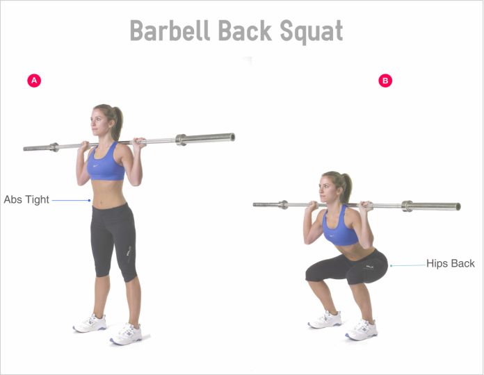 back-squat|后深蹲|背蹲举|传统蹲举 - 肌力与体能训练动作