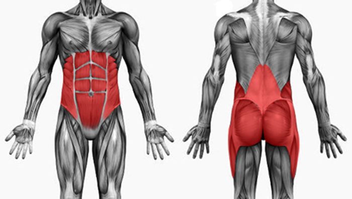 core-muscles核心肌群力量训练核心肌群是什么