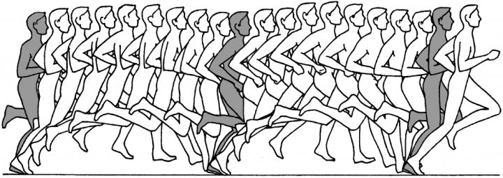 Pose Method of Running_姿势跑法 - 跑步训练