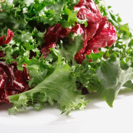 生菜蔬菜健康营养食物