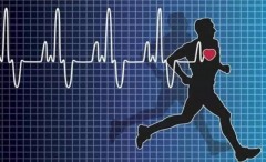 如何科学地利用心率监测来制定合理的训练频率与训练强度