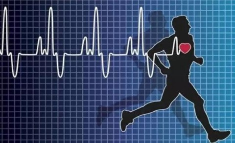 如何科学地利用心率监测来制定合理的训练频率与训练强度